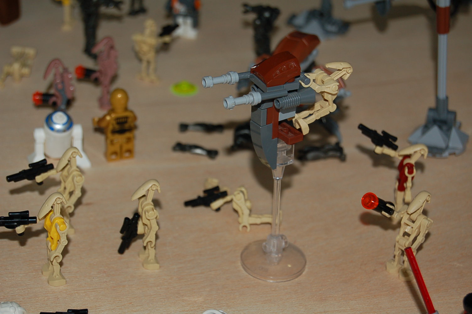 dsc_0174.jpg