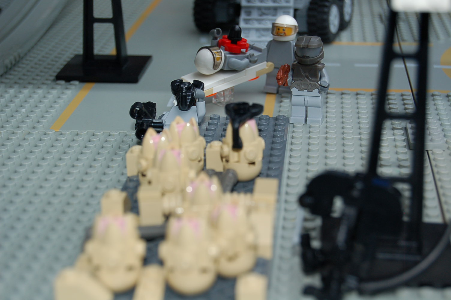 dsc_0214.jpg
