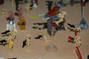 dsc_0174.jpg