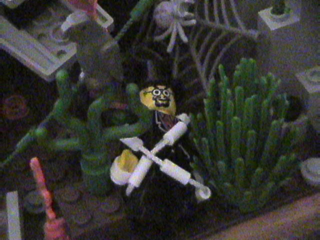 lego_birthday_jungle_diorama_70.jpg