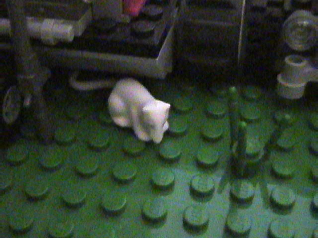 lego_birthday_jungle_diorama_72.jpg