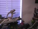 lego_birthday_jungle_diorama_06.jpg