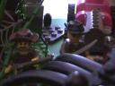 lego_birthday_jungle_diorama_38.jpg
