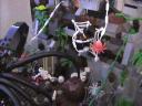 lego_birthday_jungle_diorama_40.jpg