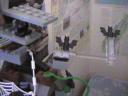 lego_birthday_jungle_diorama_48.jpg