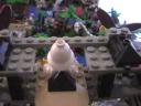 lego_birthday_jungle_diorama_49.jpg