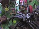 lego_birthday_jungle_diorama_59.jpg