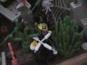 lego_birthday_jungle_diorama_70.jpg