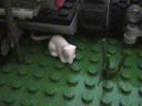 lego_birthday_jungle_diorama_72.jpg