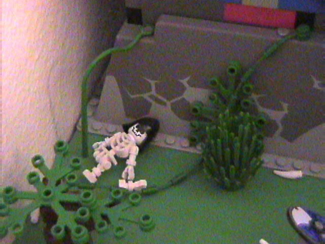 lego_castle_battle_diorama_mar19_2006_51.jpg