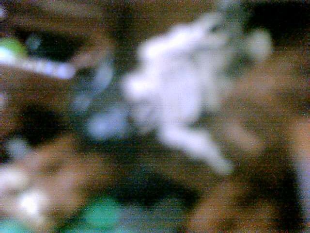 aug27707.jpg