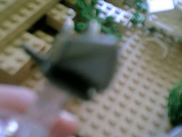 aug27708.jpg