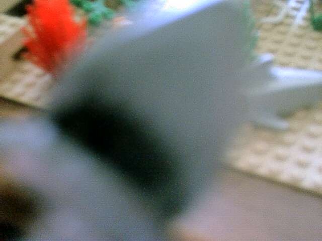 aug27709.jpg