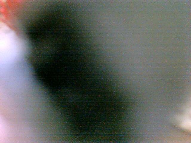 aug27710.jpg