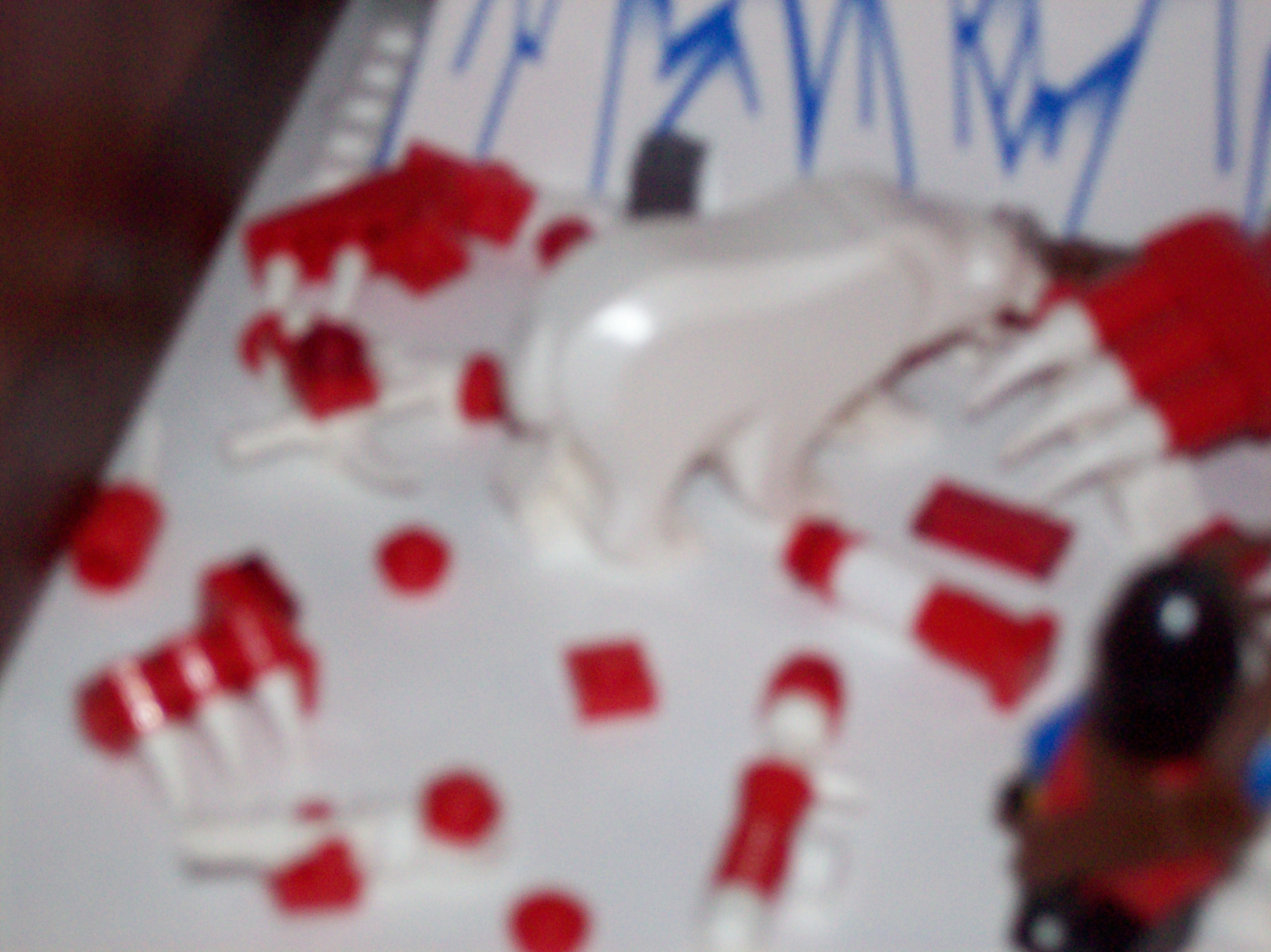100_3781.jpg