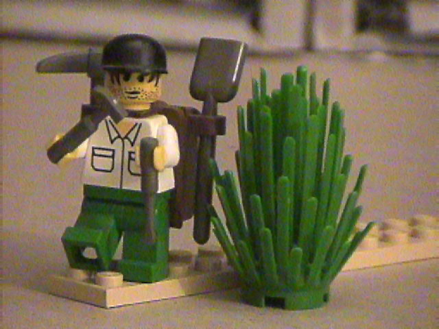 lego_house_decor_16.jpg
