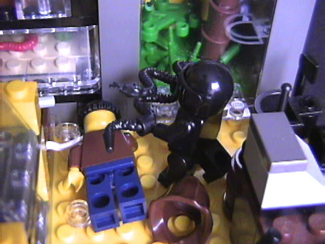 lego_the_warrior_pet_store_theft_17.jpg