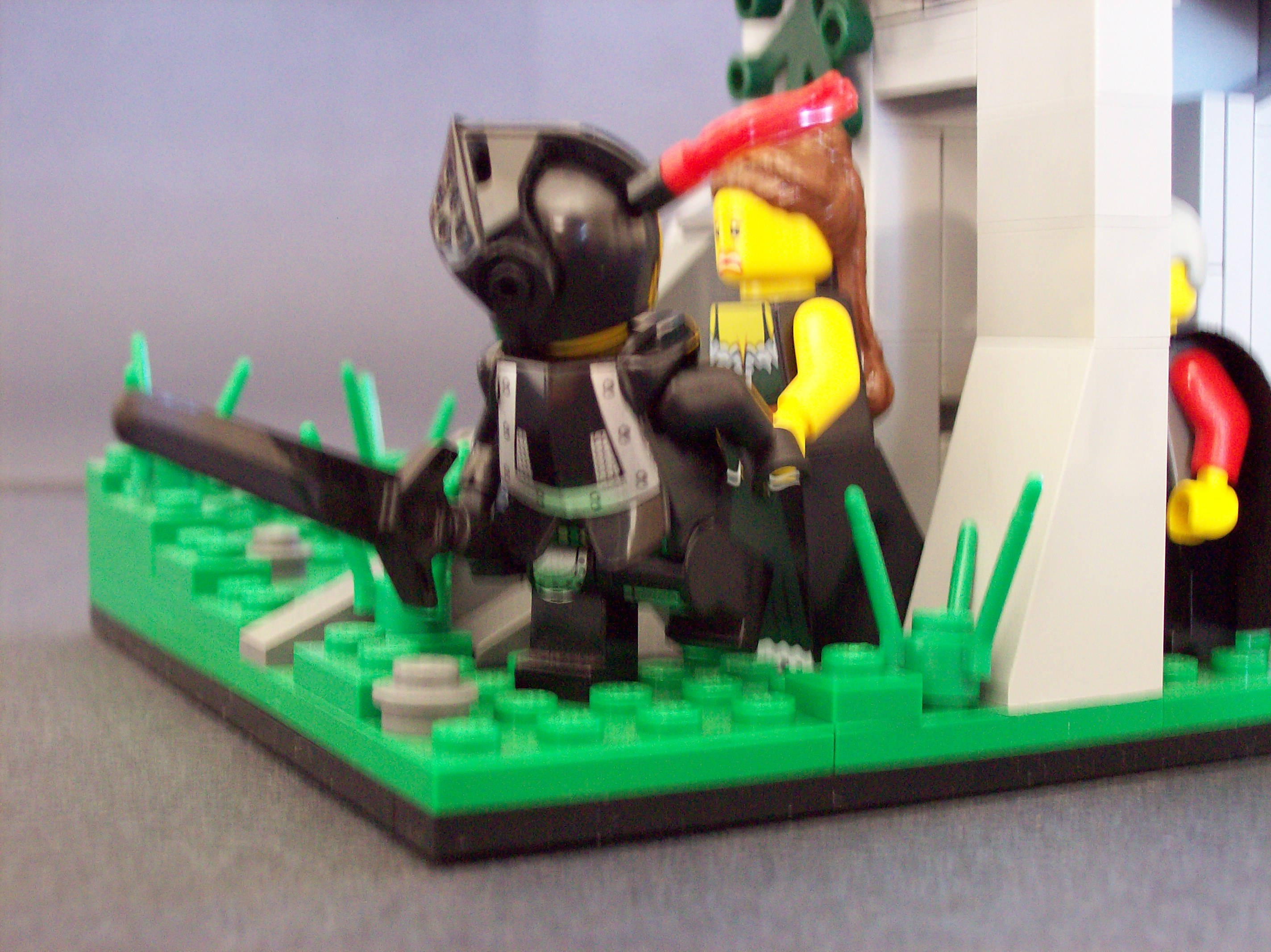 100_2767.jpg