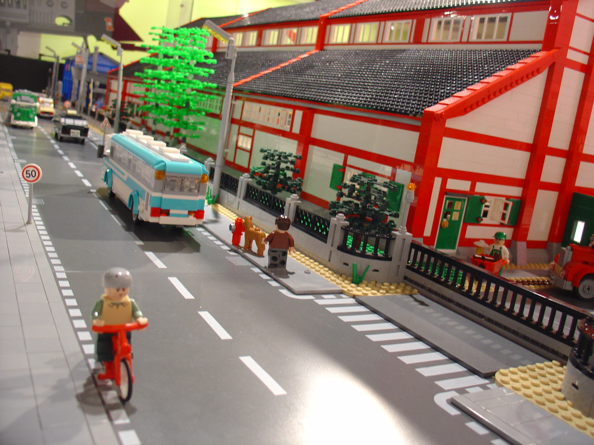 dsc06213.jpg
