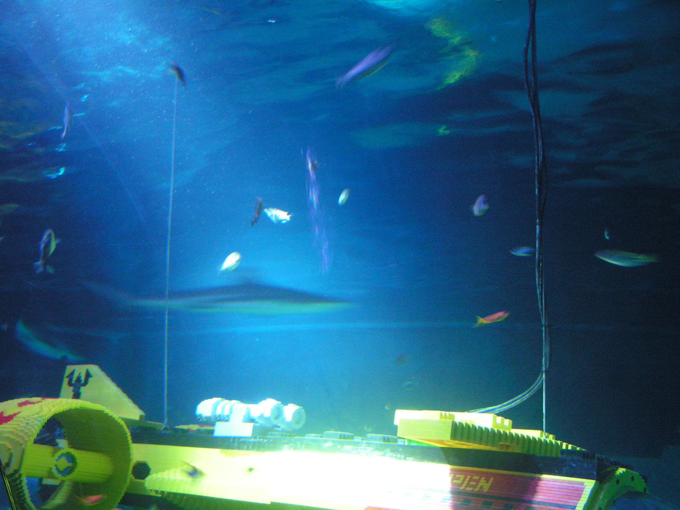 pict0030.jpg