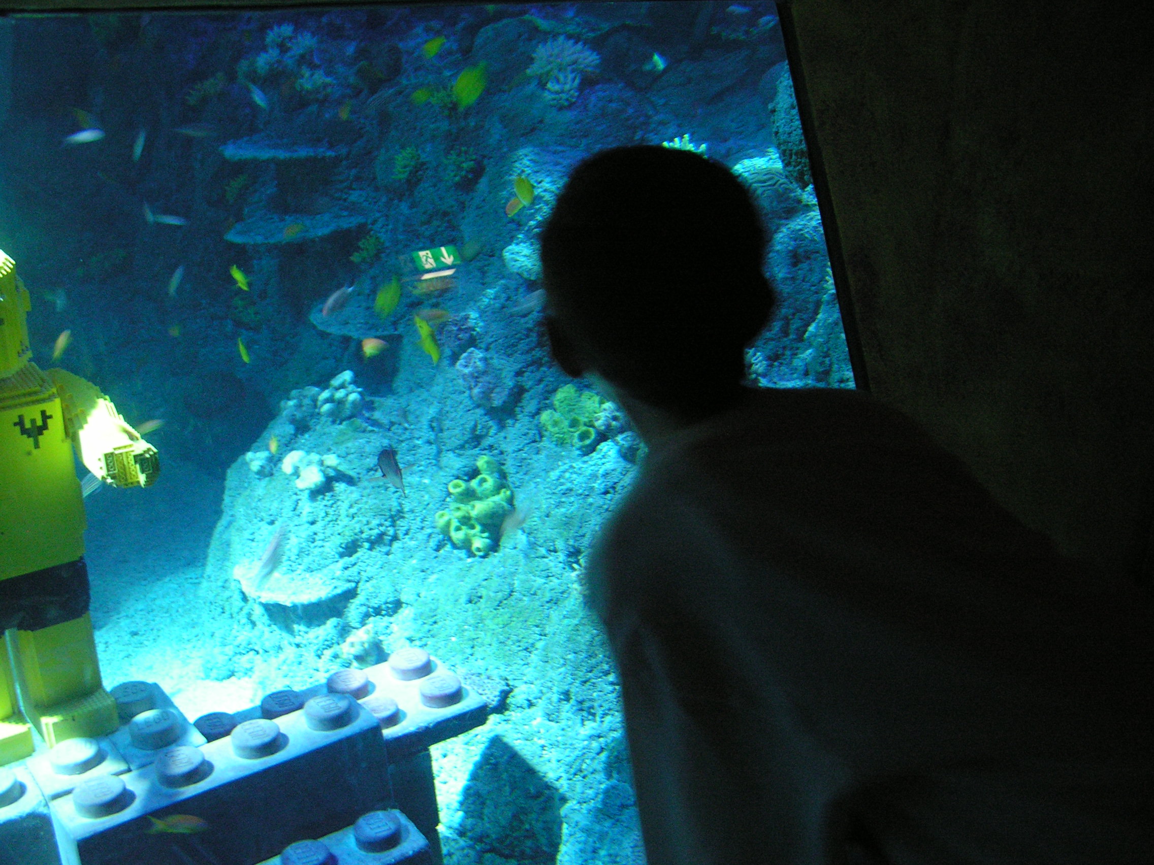 pict0033.jpg