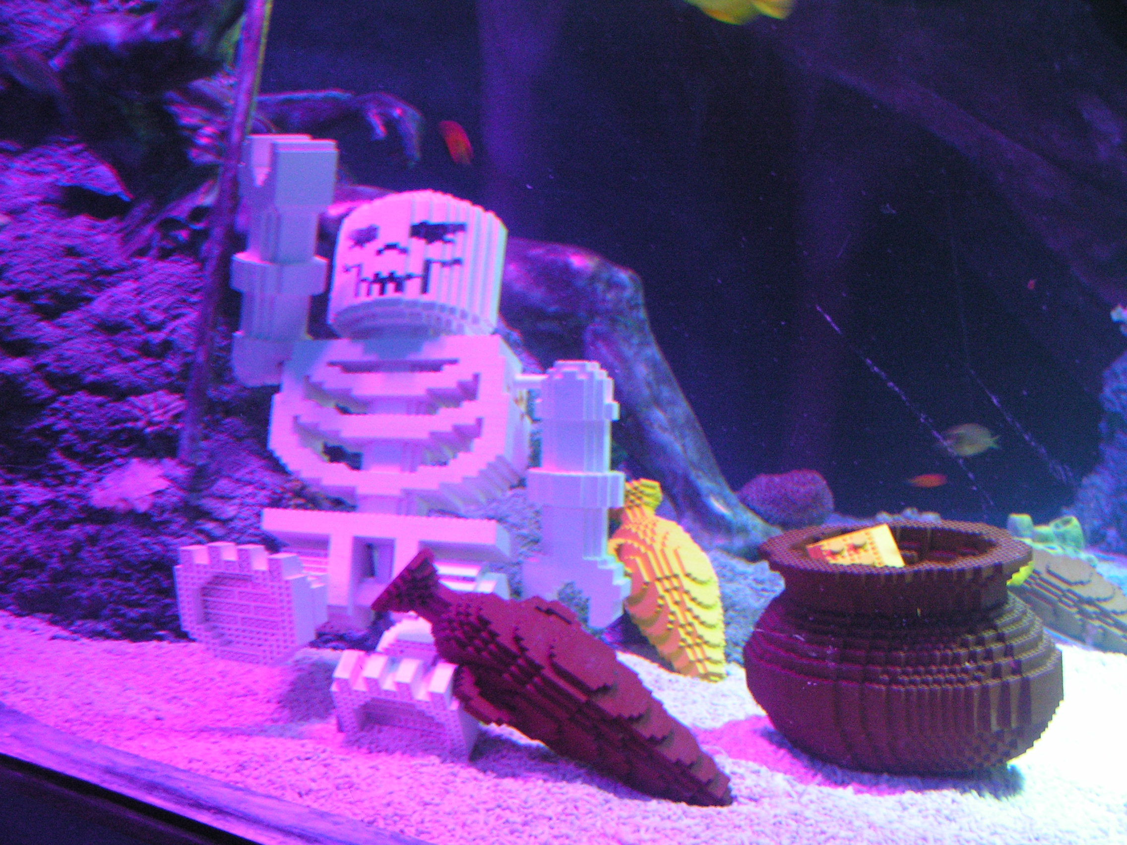 pict0036.jpg