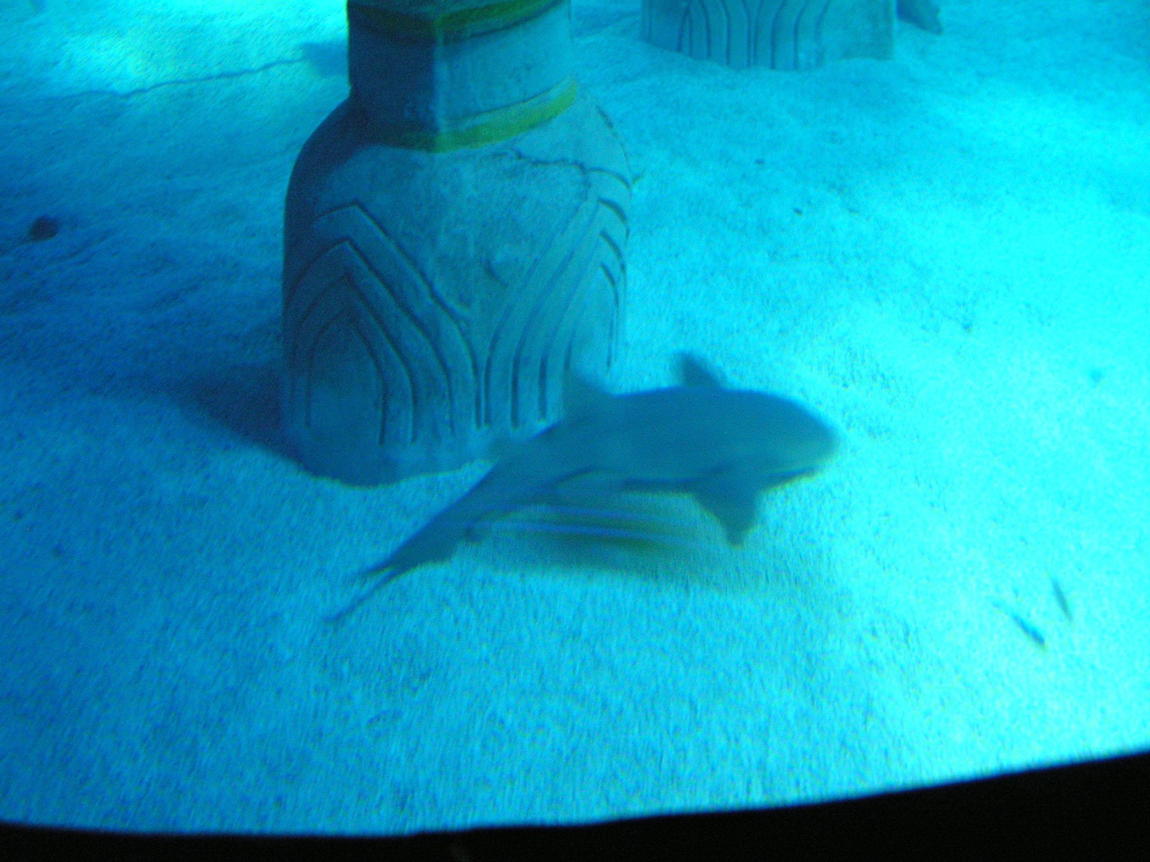 pict0040.jpg