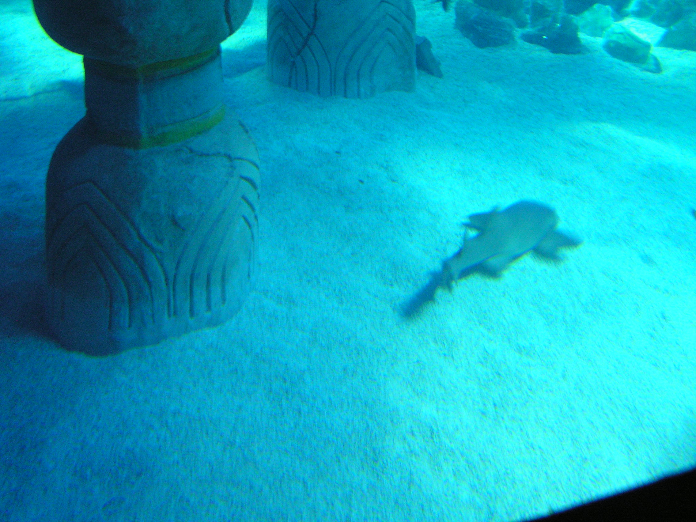 pict0041.jpg