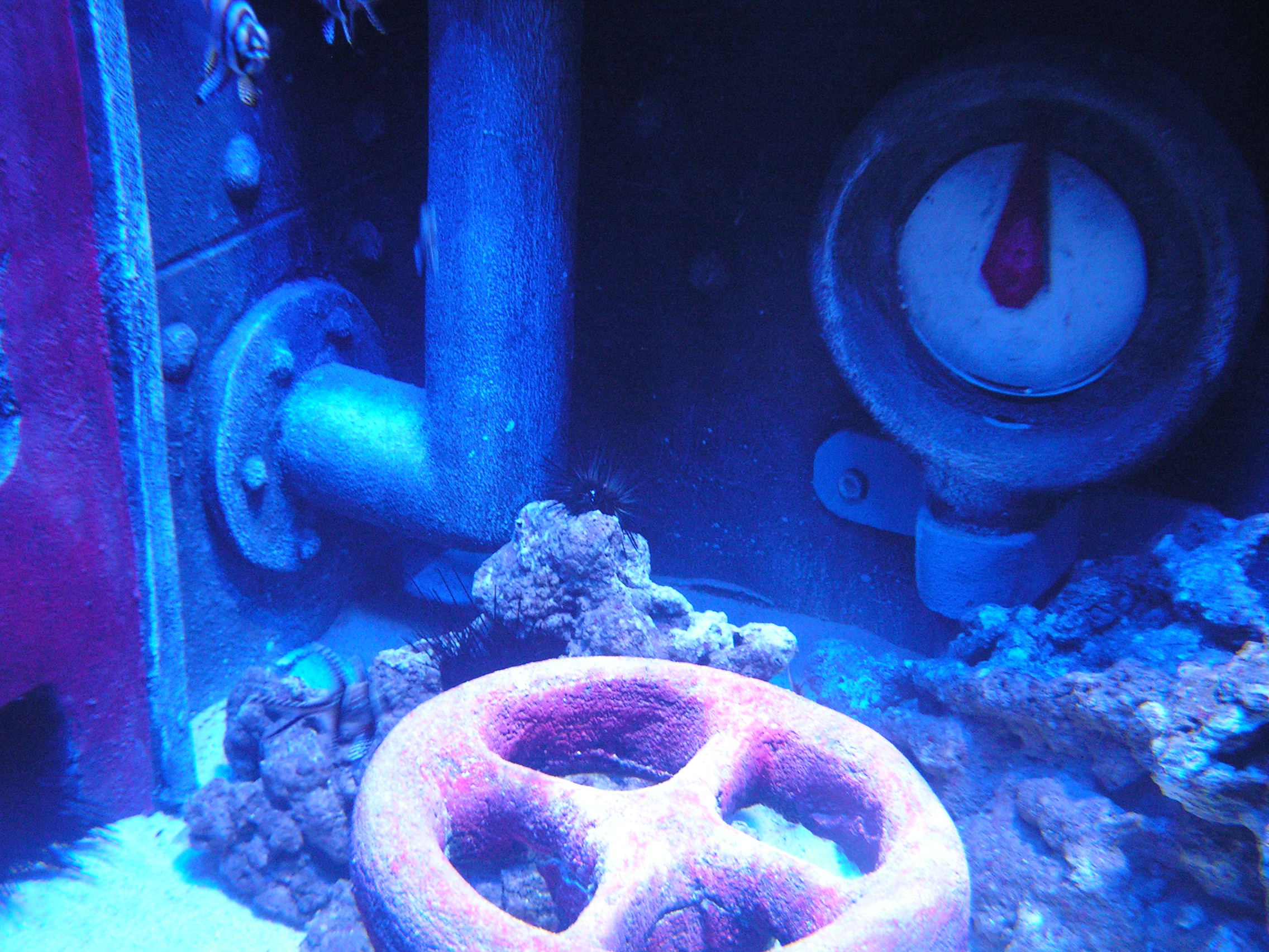 pict0042.jpg