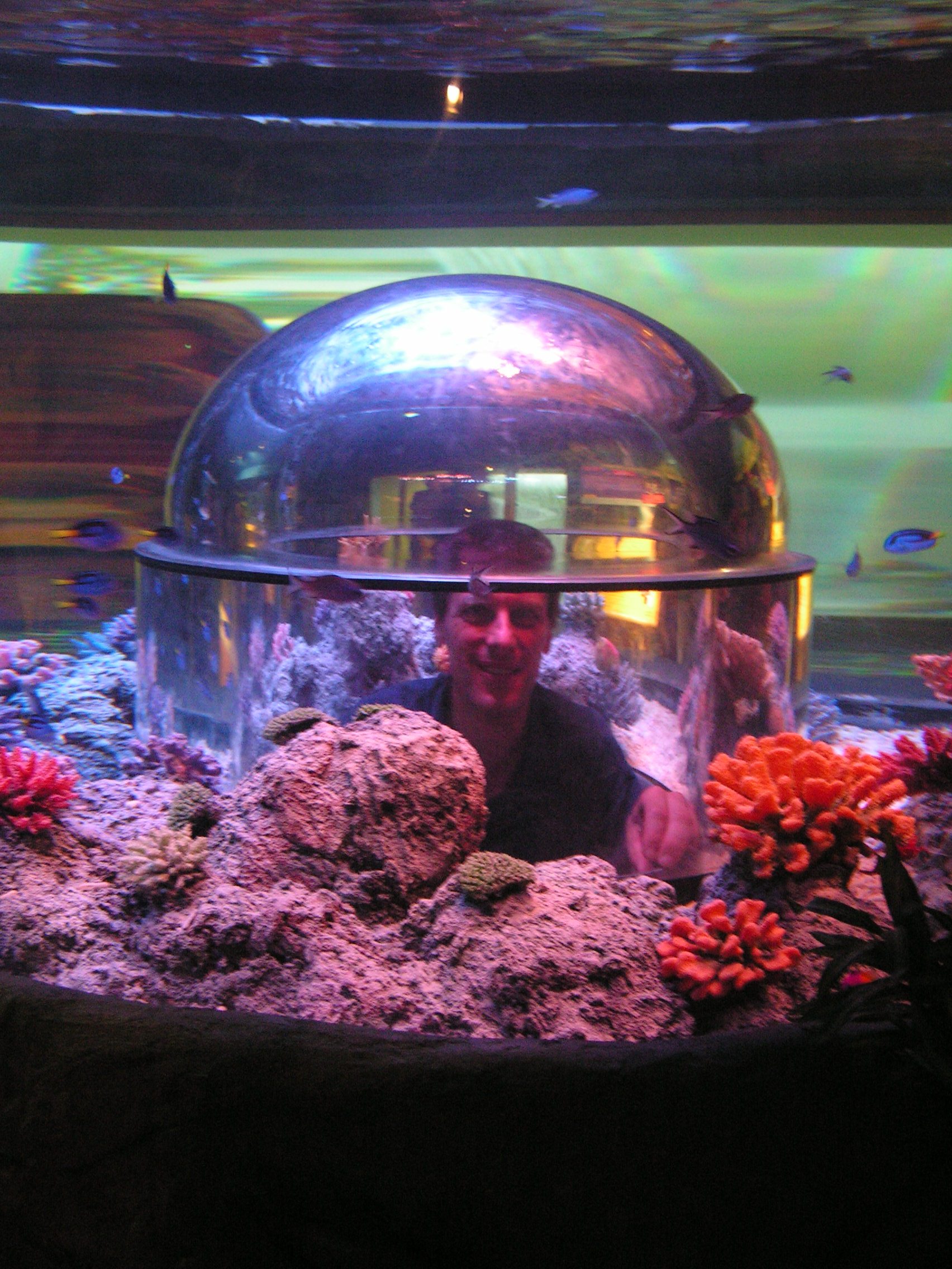 pict0046.jpg