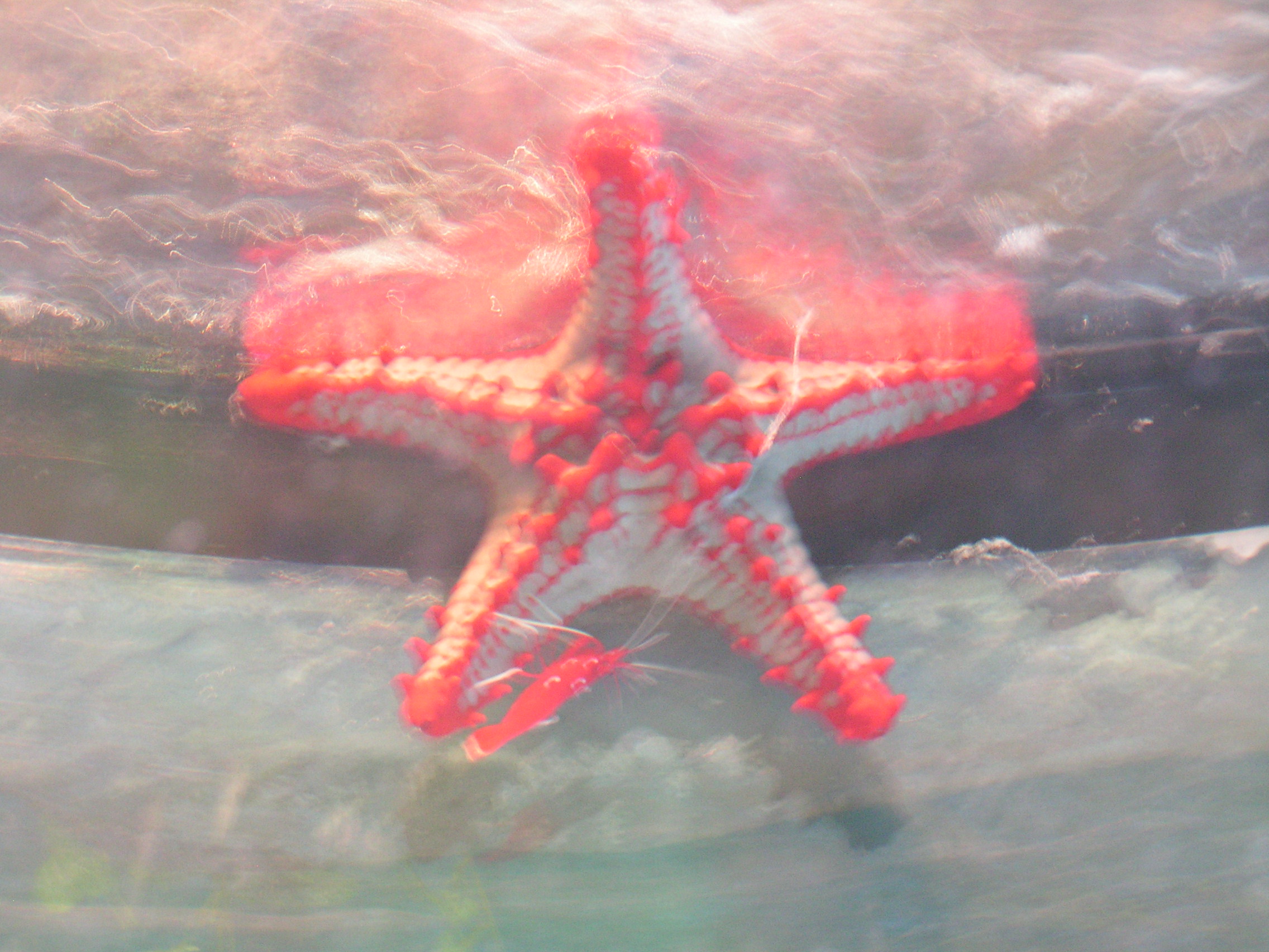 pict0048.jpg