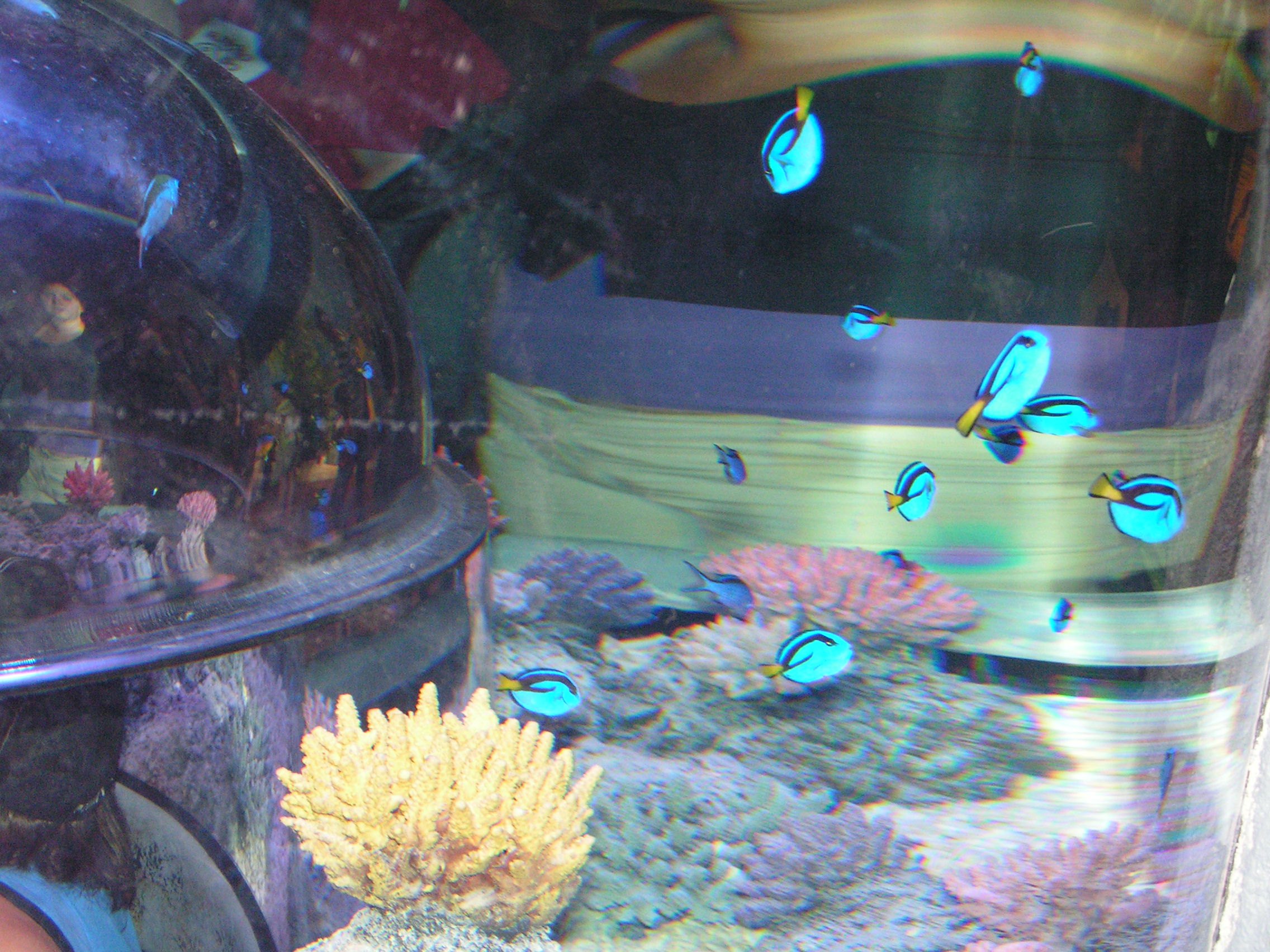 pict0050.jpg