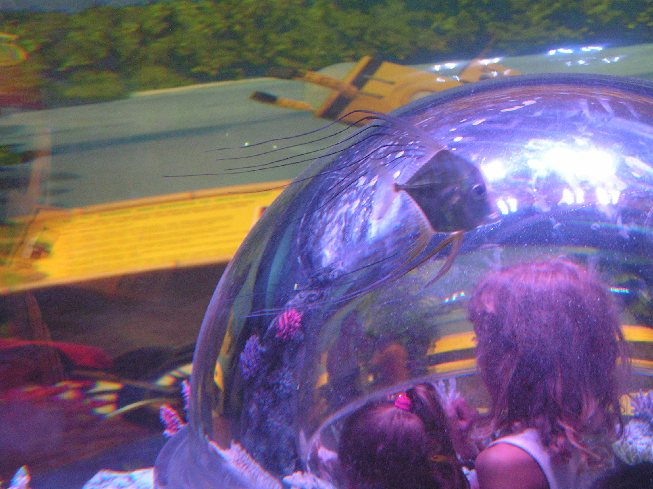 pict0051.jpg