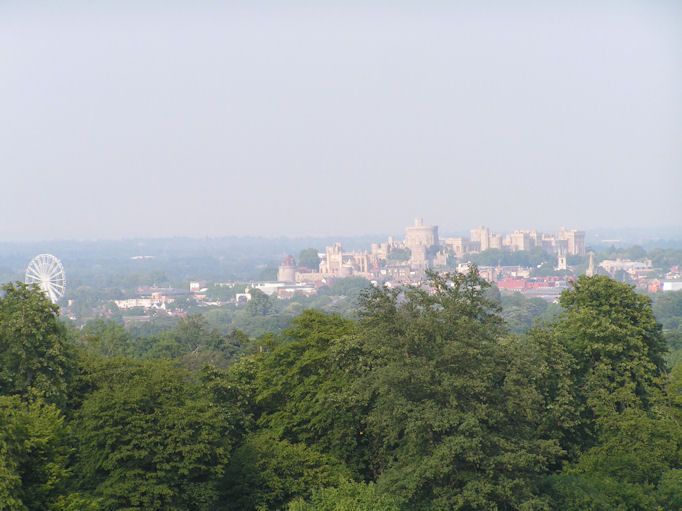 pict0130.jpg