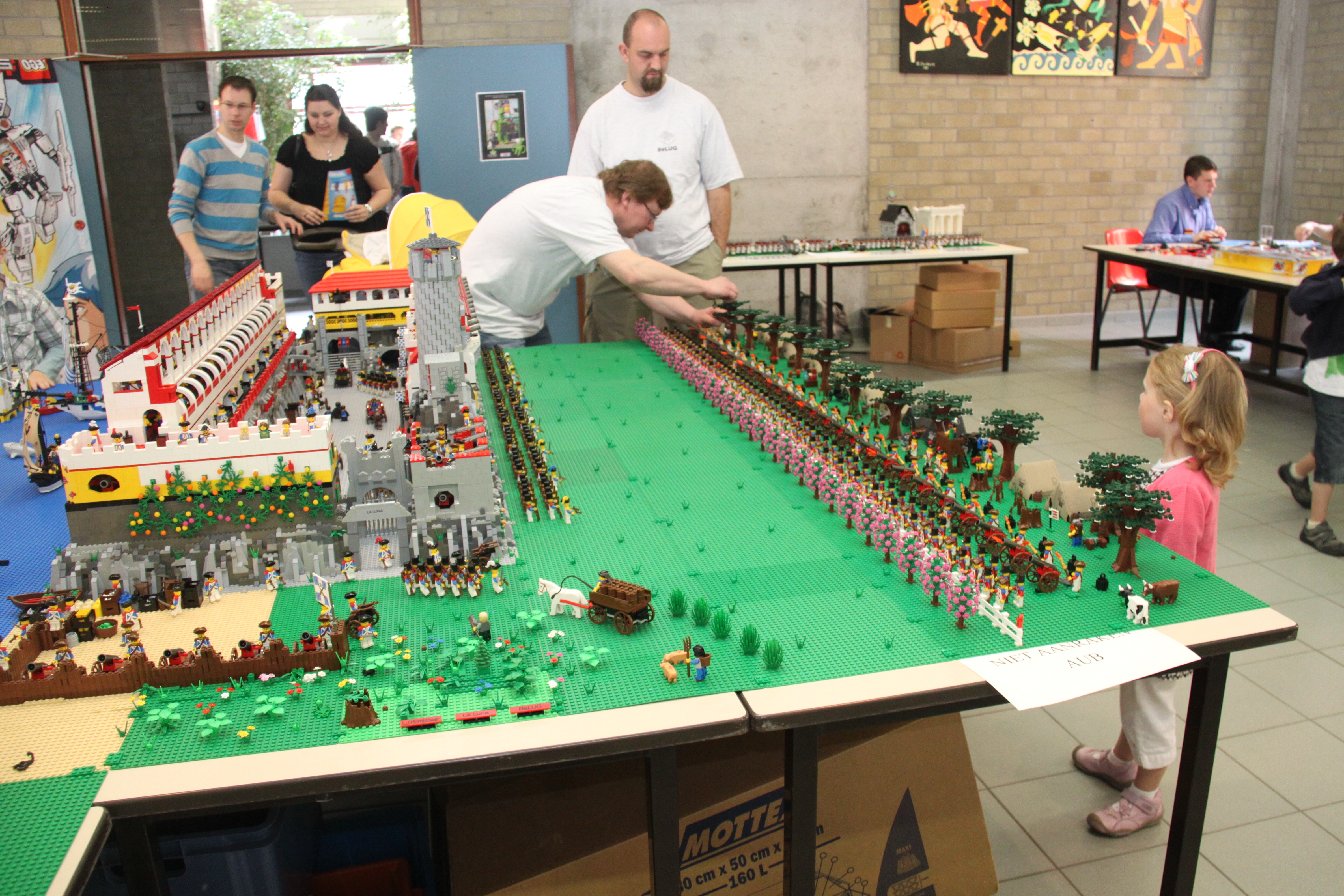 brickmania_2010.jpg