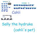 cahli.png