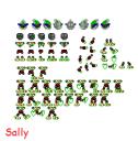 sally.png