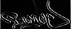 bioniclegaragebanner2.jpg