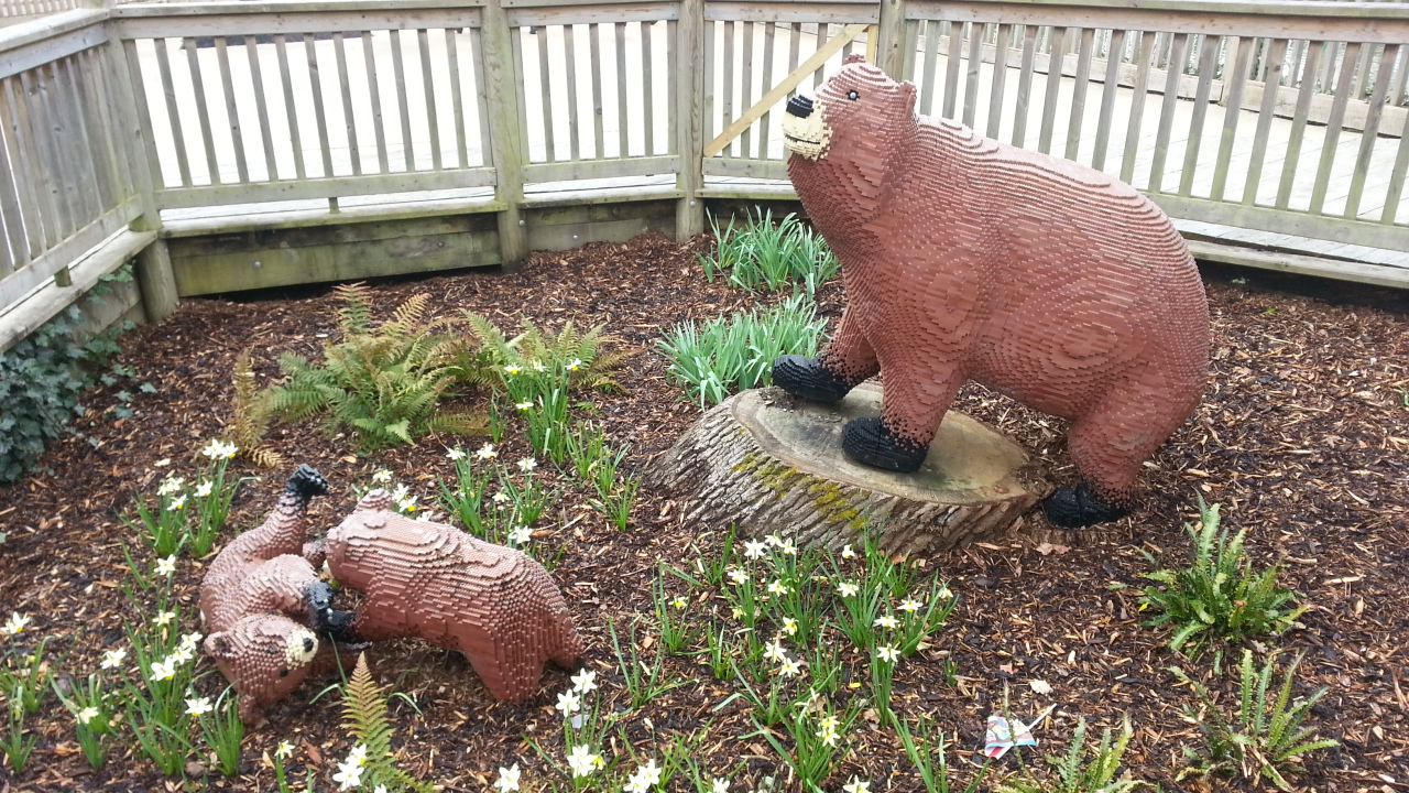 20150402_105931.jpg