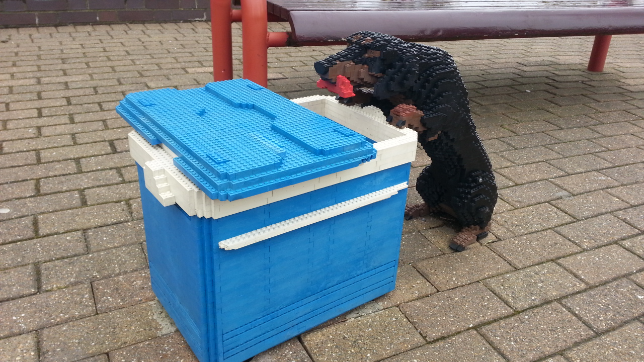 20150402_130611.jpg