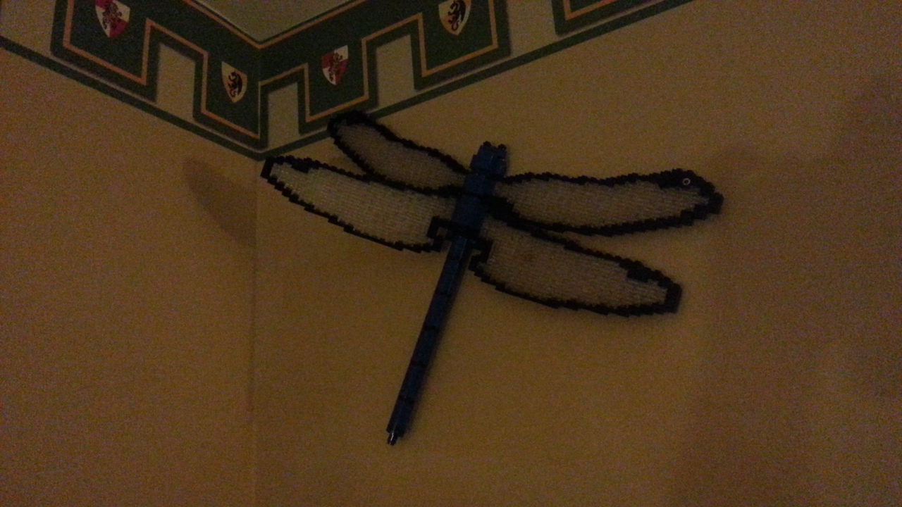 20150402_185829.jpg