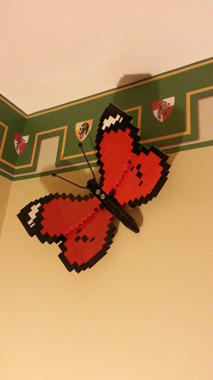 20150402_185856.jpg