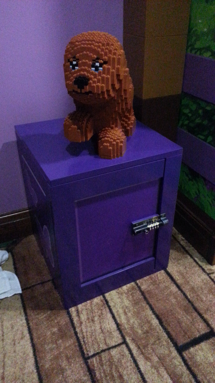 20150403_090008.jpg