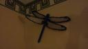 20150402_185829.jpg