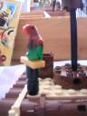 05_new_parrot_1.jpg