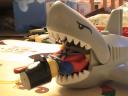 9_the_shark_4.jpg