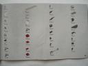 7655_14.jpg