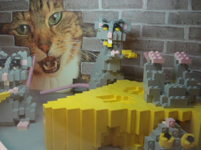 54.jpg