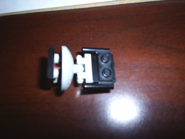 my_pics_013.jpg