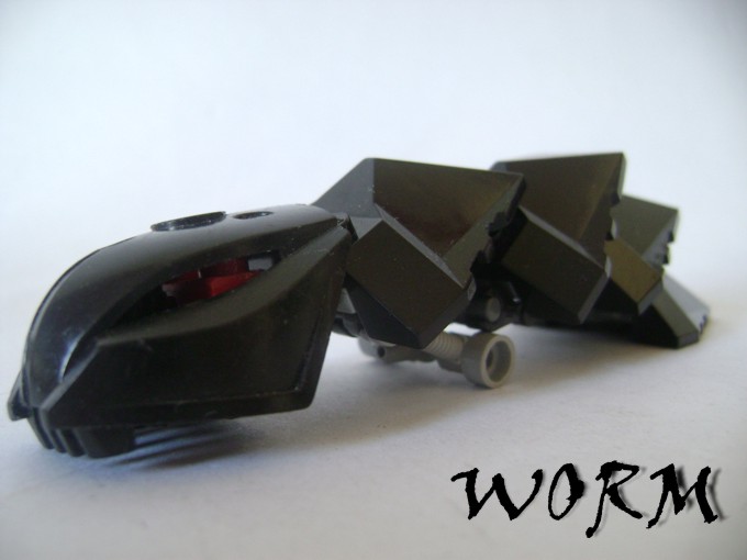 worm1.jpg